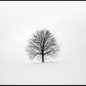 Meet your Posher, Aidan